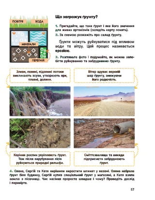 ПЕРЕГНІЙ
МІНЕРАЛИ
Що загрожує ґрунту?
1. Пригадайте, що таке ґрунт і яке його значення
для живих організмів (складіть карту понять).
2. За схемою розкажіть про склад ґрунту.
Ґрунти можуть руйнуватися під впливом
води та вітру. Цей процес називається
ерозією.
3. Розгляньте фото і подумайте, як можна запо­
бігти руйнуванню та забрудненню ґрунту.
Зливи, повені, підземні потоки
викликають зсуви, утворюють яри,
плавні, долини.
Вітер здуває верхній
шар ґрунту, знижуючи
його родючість.
■——■
*•.: Коріння рослин укріплюють ґрунт.
Тож після вирубування лісів
руйнуються природні рельєфи.
Сміттєзвалища та викиди
підприємств забруднюють
ґрунт.
4. Олена, Сергій та Катя вирішили виростити шпинат у вазоні. Олена набрала
ґрунт біля будинку, Сергій купив спеціальний ґрунт у магазині, а Катя взяла
землю з пісочниці. Чиє насіння проросте швидше і чому? Проведіть дослід
і перевірте.
57
 