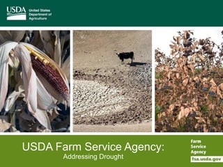 USDA Farm Service Agency:
Addressing Drought
 