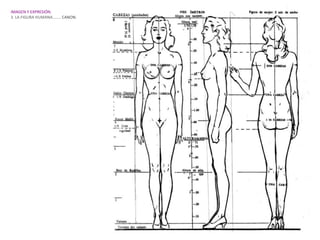 IMAGEN Y EXPRESIÓN.
3. LA FIGURA HUMANA…….. CANON.
 