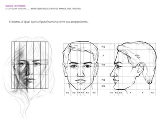 IMAGEN Y EXPRESIÓN.
3. LA FIGURA HUMANA…….. MORFOLOGÍA DE LAS PARTES: MANOS, PIES Y ROSTRO




   El rostro, al igual que la figura humana tiene sus proporciones.
 