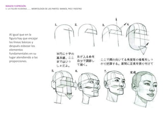 IMAGEN Y EXPRESIÓN.
3. LA FIGURA HUMANA…….. MORFOLOGÍA DE LAS PARTES: MANOS, PIES Y ROSTRO




   Al igual que en la
   figura hay que encajar
   las líneas básicas y
   después esbozar los
   elementos
   fundamentales en su
   lugar atendiendo a las
   proporciones.
 
