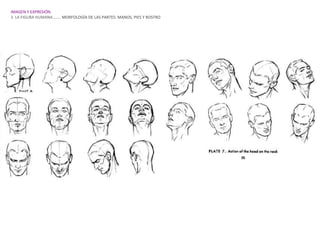 IMAGEN Y EXPRESIÓN.
3. LA FIGURA HUMANA…….. MORFOLOGÍA DE LAS PARTES: MANOS, PIES Y ROSTRO
 
