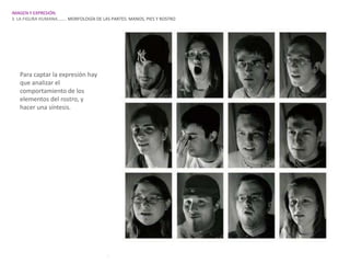 IMAGEN Y EXPRESIÓN.
3. LA FIGURA HUMANA…….. MORFOLOGÍA DE LAS PARTES: MANOS, PIES Y ROSTRO




   Para captar la expresión hay
   que analizar el
   comportamiento de los
   elementos del rostro, y
   hacer una síntesis.
 