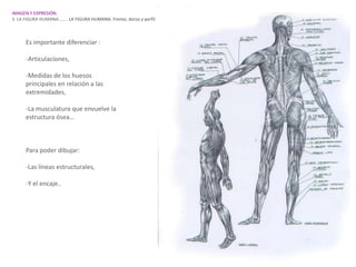 IMAGEN Y EXPRESIÓN.
3. LA FIGURA HUMANA…….. LA FIGURA HUMANA. Frente, dorso y perfil.



      Es importante diferenciar :

      -Articulaciones,

      -Medidas de los huesos
      principales en relación a las
      extremidades,

      -La musculatura que envuelve la
      estructura ósea…



      Para poder dibujar:

      -Las líneas estructurales,

      -Y el encaje..
 