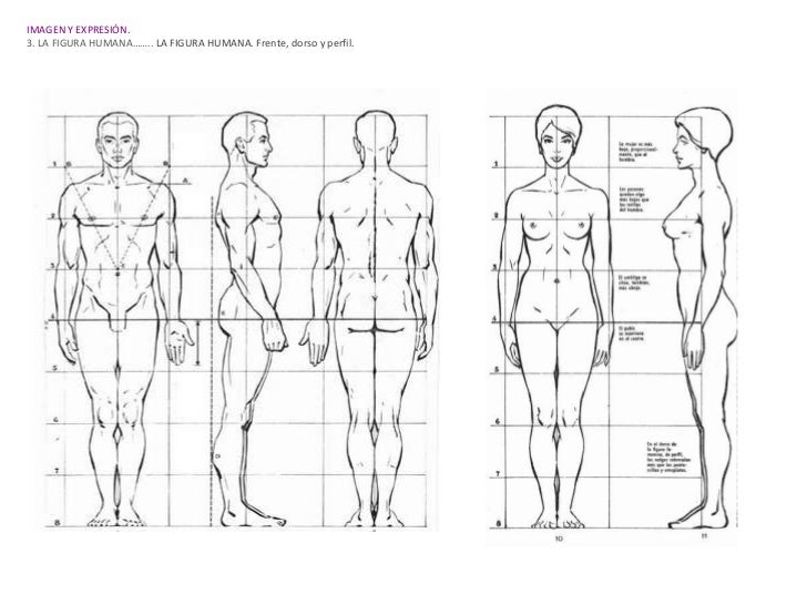 3. la figura humana