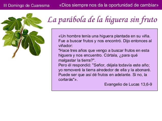 3.la higuera sin fruto