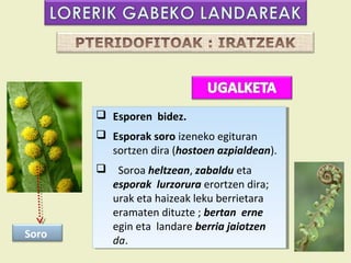  Esporen bidez.
        Esporen bidez.
        Esporak soro izeneko egituran
        Esporak soro izeneko egituran
         sortzen dira (hostoen azpialdean).
          sortzen dira (hostoen azpialdean).
        Soroa heltzean, zabaldu eta
        Soroa heltzean, zabaldu eta
         esporak lurzorura erortzen dira;
         esporak lurzorura erortzen dira;
         urak eta haizeak leku berrietara
         urak eta haizeak leku berrietara
         eramaten dituzte ;;bertan erne
         eramaten dituzte bertan erne
         egin eta landare berria jaiotzen
         egin eta landare berria jaiotzen
Soro
         da.
         da.
 