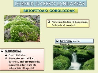  Planetako landarerik bakunenak.
                                      Ez dute hodi eroalerik.




                                           BIZILEKUA: eremu
                                            hezeetan .

 EZAUGARRIAK.
   Oso txikiak dira
   Benetako sustrairik ez
     dutenez , azal osoaren bidez
     xurgatzen dituzte ura eta
     substantzia elikagarriak.
 