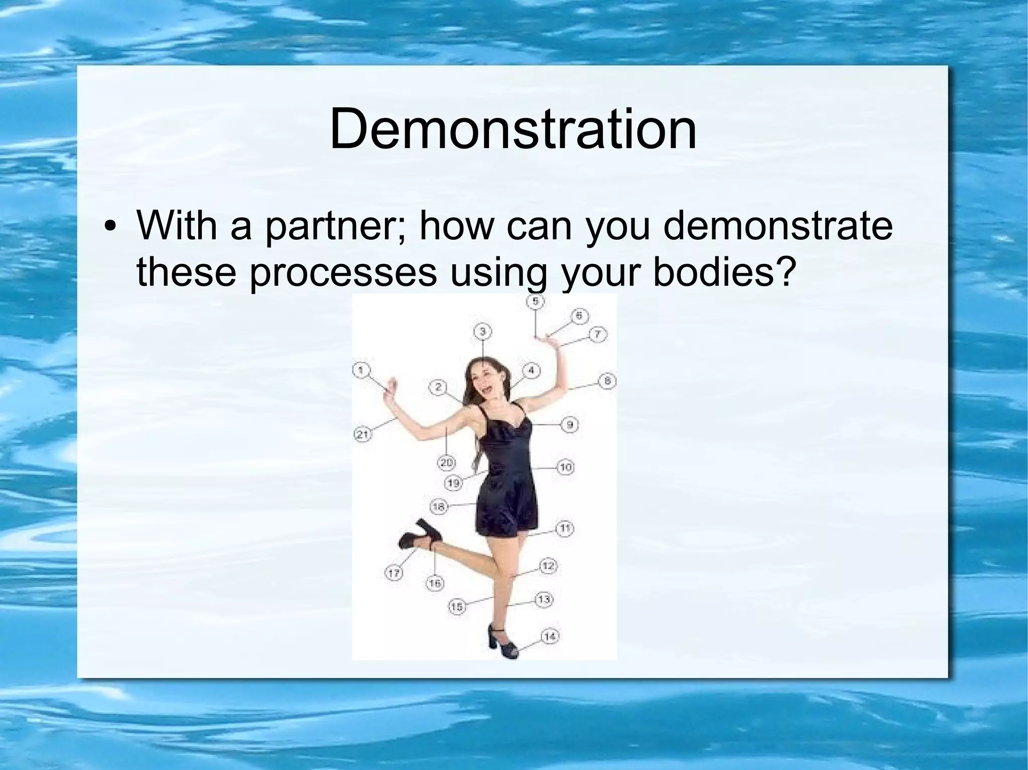 Demonstration
●   With a partner; how can you demonstrate
    these processes using your bodies?
 