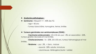 4. Anatomie pathologique :
 Seminome : fréquent ++ : 40% des TG
- Age > 40 ans
- Tumeur blanchâtre, homogène, ferme, limitée
 Tumeurs germinales non seminomateuses (TGNS) :
- Carcinome embryonnaire : 25 à 35 ans, pur : 3%, en association : 35%,
tumeur grisâtre nécrosée et mal limitée.
- Choriocarcinome : 15 – 20%, 20 à 30 ans, tumeur hémorragique et mal
limitée.
- Tératome : - pur : 3% , < 5ans , mature
- associé : 30%, adulte, immature
- volumineuse, hétérogène (kyste + solide)
 