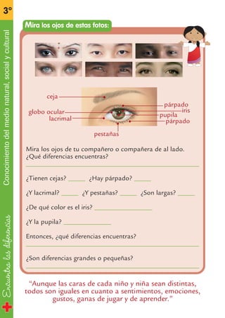 Encuentralasdiferencias
3º
Conocimientodelmedionatural,socialycultural
“Aunque las caras de cada niño y niña sean distintas,
todos son iguales en cuanto a sentimientos, emociones,
gustos, ganas de jugar y de aprender.”
Mira los ojos de tu compañero o compañera de al lado.
¿Qué diferencias encuentras?
___________________________________________________
¿Tienen cejas? _____ ¿Hay párpado? _____
¿Y lacrimal? _____ ¿Y pestañas? _____ ¿Son largas? _____
¿De qué color es el iris? _________________
¿Y la pupila? ______________
Entonces, ¿qué diferencias encuentras?
___________________________________________________
¿Son diferencias grandes o pequeñas?
___________________________________________________
Mira los ojos de estas fotos:
párpado
iris
pupila
párpadolacrimal
globo ocular
ceja
pestañas
fichas 3º.qxp 27/2/08 12:11 Página 2
 
