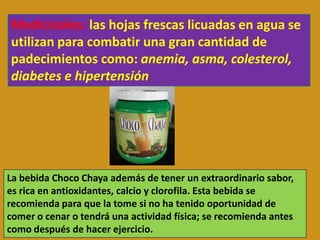 El Chaco o Phasa es una arcilla comestible con propiedades