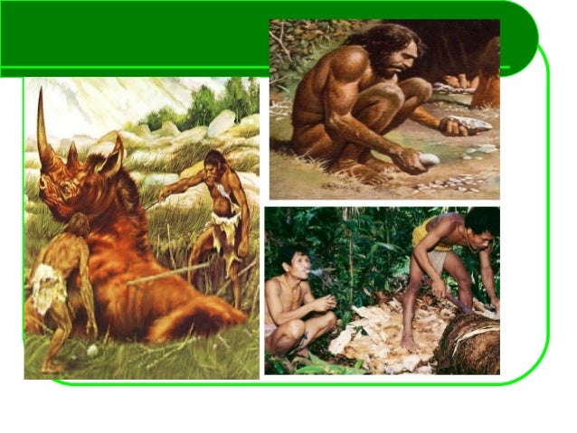 the origin of agriculture
