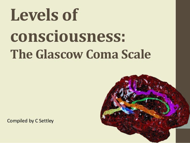 3 Levels Of Consciousness Gcs 3 Levels Of Consciousness Gcs