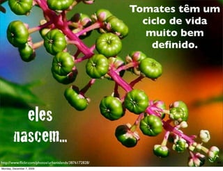 Tomates têm um
                                                         ciclo de vida
                                                          muito bem
                                                           deﬁnido.




          eles
        nascem...
http://www.ﬂickr.com/photos/urbanislands/3876172828/                 44
Monday, December 7, 2009
 