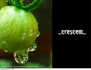 ...crescem...


http://www.ﬂickr.com/photos/deborahnaomi/1820652016/                   45
Monday, December 7, 2009
 