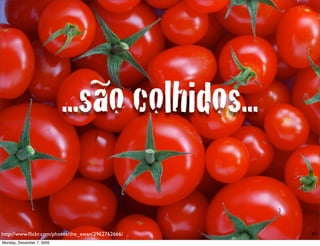 ...são colhidos...

http://www.ﬂickr.com/photos/the_ewan/2962762666/   47
Monday, December 7, 2009
 