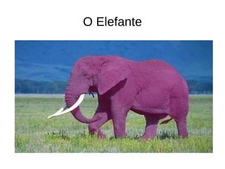 O Elefante
 