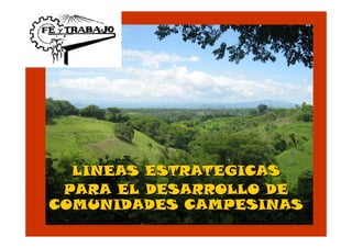 LINEAS ESTRATEGICAS
 PARA EL DESARROLLO DE
COMUNIDADES CAMPESINAS
 