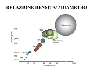 RELAZIONE DENSITA’ / DIAMETRORELAZIONE DENSITA’ / DIAMETRO
 