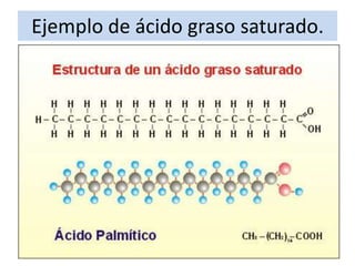 Ejemplo de ácido graso saturado.

 