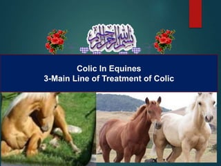 Colic In Equines
3-Main Line of Treatment of Colic
 