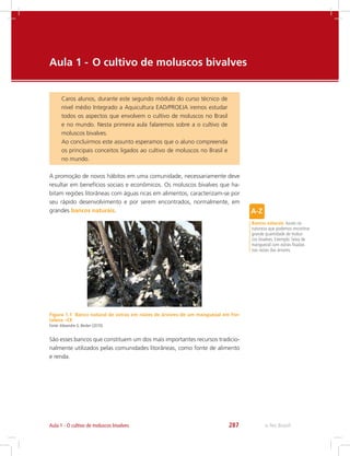 e-Tec Brasil287
Aula 1 - 	O cultivo de moluscos bivalves
Caros alunos, durante este segundo módulo do curso técnico de
nível médio Integrado a Aquicultura EAD/PROEJA iremos estudar
todos os aspectos que envolvem o cultivo de moluscos no Brasil
e no mundo. Nesta primeira aula falaremos sobre a o cultivo de
moluscos bivalves.
Ao concluirmos este assunto esperamos que o aluno compreenda
os principais conceitos ligados ao cultivo de moluscos no Brasil e
no mundo.
A promoção de novos hábitos em uma comunidade, necessariamente deve
resultar em benefícios sociais e econômicos. Os moluscos bivalves que ha-
bitam regiões litorâneas com águas ricas em alimentos, caracterizam-se por
seu rápido desenvolvimento e por serem encontrados, normalmente, em
grandes bancos naturais.
Figura 1.1 Banco natural de ostras em raízes de árvores de um manguezal em For-
taleza –CE
Fonte:Alexandre G. Becker (2010).
Bancos naturais: locais na
natureza que podemos encontrar
grande quantidade de molus-
cos bivalves. Exemplo: faixa de
manguezal com ostras fixadas
nas raízes das árvores.
São esses bancos que constituem um dos mais importantes recursos tradicio-
nalmente utilizados pelas comunidades litorâneas, como fonte de alimento
e renda.
Aula 1 - O cultivo de moluscos bivalves
 