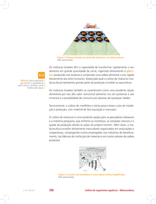 Plâncton: Micro-organismos
que não tem a capacidade de
nadar contra a correnteza, sendo
levados pelas águas.
Figura 1.3 Cultivo de mexilhões e a sua cadeia trófica simplificada.
Fonte: acervo do autor
Cultivo de organismos aquáticos - Malacoculturae-Tec Brasil 288
Figura 1.2 Representação da pirâmide alimentar na malacocultura.
Fonte: acervo do autor
Os moluscos bivalves têm a capacidade de transformar rapidamente o seu
alimento em grande quantidade de carne, ingerindo diretamente o plânc-
ton produzido nos oceanos e compondo uma cadeia alimentar curta, ligada
diretamente aos seres humanos. Razão pela qual o cultivo de moluscos (ma-
lacocultura) representa grande parte da produção mundial na aquicultura.
Os moluscos bivalves também se caracterizam como uma excelente opção
alimentícia por seu alto valor nutricional (alimento rico em proteínas e sais
minerais) e a possibilidade de consumo por pessoas de quaisquer idades.
Tecnicamente, o cultivo de mexilhões e ostras possui baixo custo de instala-
ção e produção, com material de fácil aquisição e manuseio.
O cultivo de moluscos é uma excelente opção para os pescadores artesanais
e a indústria pesqueira, que enfrenta as incertezas, as variações naturais e a
queda da produção devido às ações do próprio homem. Além disso, a ma-
lacocultura envolve diretamente maricultores organizados em associações e
cooperativas, congregando outros empregados nas indústrias de beneficia-
mento, nas fábricas de confecção de materiais e em outros setores da cadeia
produtiva.
 