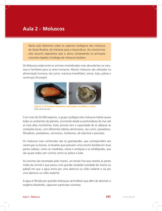 e-Tec Brasil293
Aula 2 - 	Moluscos
Nesta aula falaremos sobre os aspectos biológicos dos moluscos
da classe Bivalvia, de interesse para a Aquicultura. Ao concluirmos
este assunto esperamos que o aluno compreenda os principais
conceitos ligados à biologia de moluscos bivalves.
Os Moluscos estão entre os animais invertebrados mais abundantes na natu-
reza e familiares para os seres humanos. Muitos moluscos são utilizados na
alimentação humana, tais como: mariscos (mexilhões), ostras, lulas, polvos e
caramujos (Escargot).
Figura 2.1 Principais moluscos cultivados: mexilhão e ostra
Fonte: acervo do autor
Com mais de 50.000 espécies, o grupo zoológico dos moluscos habita quase
todos os ambientes do planeta, ocorrendo desde as profundezas do mar até
as mais altas montanhas. Estes animais tem a capacidade de se adequar às
condições locais, com diferentes hábitos alimentares, tais como: pastadores,
filtradores, predadores, carnívoros, herbívoros, de vida livre e parasitas.
Os moluscos mais conhecidos são os gastrópodes, que correspondem aos
caramujos ou búzios, os bivalves que possuem uma concha dividida em duas
partes (valvas), como os mexilhões, ostras e amêijoas e os cefalópodes, que
são quase todos sem concha como os polvos e lulas.
As conchas são secretadas pelo manto, um tecido fino que reveste as partes
moles do animal e que possui uma grande cavidade (cavidade do manto ou
paleal) em que a água entra por uma abertura ou sifão inalante e sai por
uma abertura ou sifão exalante.
A água é filtrada por grandes brânquias (actinídeos) que além de absorver o
oxigênio dissolvido, capturam partículas nutritivas.
Aula 2 - Moluscos
 