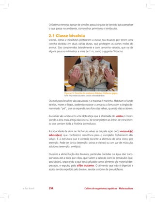 O sistema nervoso apesar de simples possui órgãos de sentido para perceber
o que passa no ambiente, como olhos primitivos e tentáculos.
2.1 Classe bivalvia
Vieiras, ostras e mexilhões pertencem à classe dos Bivalves por terem uma
concha dividida em duas valvas duras, que protegem as partes moles do
animal. São comprimidos lateralmente e com tamanho variado, que vai de
alguns poucos milímetros a mais de 1 m, como o gigante Tridacna.
Figura 2.2 Concha do molusco bibalve Tridacna gigas.
Fonte: http://www.esacademic.com/dic.nsf/eswiki/818326
Os moluscos bivalves são aquáticos e a maioria é marinha. Habitam o fundo
de rios, mares e lagos, podendo escavar a areia ou a lama com o órgão de-
nominado “pé”, que se expande para fora das valvas, quando elas se abrem.
As valvas são unidas em uma dobradiça que é chamada de umbo e corres-
ponde a área mais antiga da concha, de onde partem as linhas de crescimen-
to que contam toda a história do molusco.
A capacidade de abrir ou fechar as valvas se dá pela ação do(s) músculo(s)
adutor(es), que confere(m) resistência para o completo fechamento das
valvas. É a estrutura que é cortada durante a abertura de uma ostra, por
exemplo. Pode ser único (exemplo: ostras e vieiras) ou um par de músculos
adutores (exemplo: amêijoa).
Durante a alimentação dos bivalves, partículas contidas na água são trans-
portadas até a boca por cílios, que fazem a seleção com os tentáculos (pal-
pos labiais), separando o que será utilizado como alimento do material des-
prezado, e expulso pelo sifão inalante. O alimento que não é digerido e
acaba sendo expelido pelo bivalve, recebe o nome de pseudofezes.
Cultivo de organismos aquáticos - Malacoculturae-Tec Brasil 294
 