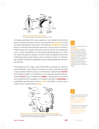 e-Tec Brasil295
Figura 2.3 Anatomia de um bivalve
Fonte: Programa Brasileiro de Intercâmbio em Maricultura. 2003.
Figura 2.4. Fases do desenvolvimento larval de um mexilhão
Fonte: Programa Brasileiro de Intercâmbio em Maricultura. 2003. Cultivo de Mexilhões.Volume
1, disponível em: http://www.mpa.gov.br/mpa/seap/html/.
Os bivalves geralmente têm sexos separados e nem sempre há dimorfismo
sexual. Exemplos disto são as ostras, que só podem ser sexadas por meio
de análises laboratoriais. No entanto, há indivíduos hermafroditas como as
vieiras, e outros ditos hermafroditas sequenciais, como as ostras. Um herma-
frodita sequencial é aquele animal que muda de sexo de um período para
outro, ou seja, ano passado o animal produzia espermatozóide, era macho,
mas neste ano passou a produzir ovócitos, sendo considerado fêmea. Essa
modificação pode ocorre diversas vezes no mesmo animal, por influência
das condições ambientais (qualidade da água, disponibilidade de alimento),
por exemplo.
A fecundação ocorre na água, onde a fêmea libera os ovócitos e o macho os
espermatozóides. Estas células se encontram na água, onde são formando
os ovos e destes eclodem as larvas. A primeira larva é denominada trocófo-
ra. Esta larva é ciliada e se transforma em uma segunda fase larval denomi-
nada de larva D, que se modifica em véliger, a qual já possui uma concha
com característica de sua espécie e, em seguida, dá origem a pedivéliger. É
a pediveliger, que apresenta um pé e o ocelo e dá origem a semente, que é
a fase em que o bivalve torna-se séssil.
Sexadas: identificação do sexo
do animal.
Hermafrodita: animal que
tem a capacidade de produzir
gametas masculinos (esperma-
tozóides) e femininos (ovócitos).
Ocelo: Olho rudimentar. Pela
presença do ocelo ou mancha
ocular, esta fase larval também é
chamada de “larva olhada”.
Séssil: Organismos sésseis são
aqueles que não se deslocam
voluntariamente do seu local de
fixação.
• O Manual de Maricultura sobre
Cultivo de Mexilhão disponível
no link http://www.mpa.gov.
br/mpa/seap/html/PARA%20
SITE/Publicações/manual%20
mexilhao_2005(b).pdf
• O Manual de Maricultura sobre
o Cultivo de Ostras disponível
no link http://www.mpa.gov.
br/mpa/seap/html/PARA%20
SITE/Publicações/manual%20
ostras_2005(b).pdf
Aula 2 - Moluscos
 