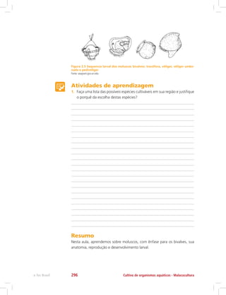 Figura 2.5 Sequencia larval dos moluscos bivalves: trocófora, véliger, véliger umbo-
nada e pedivéliger
Fonte: seagrant.gso.uri.edu
Atividades de aprendizagem
1.	 Faça uma lista das possíveis espécies cultiváveis em sua região e justifique
o porquê da escolha destas espécies?
Resumo
Nesta aula, aprendemos sobre moluscos, com ênfase para os bivalves, sua
anatomia, reprodução e desenvolvimento larval.
Cultivo de organismos aquáticos - Malacoculturae-Tec Brasil 296
 