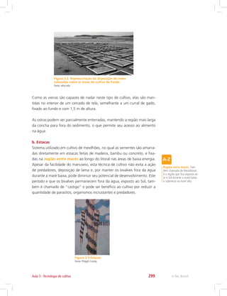 e-Tec Brasil299
Figura 3.2. Representação da disposição de redes
colocadas sobre as áreas de cultivo de fundo.
Fonte: whoi.edu
Como as vieiras são capazes de nadar neste tipo de cultivo, elas são man-
tidas no interior de um cercado de tela, semelhante a um curral de gado,
fixado ao fundo e com 1,5 m de altura.
As ostras podem ser parcialmente enterradas, mantendo a região mais larga
da concha para fora do sedimento, o que permite seu acesso ao alimento
na água.
b. Estacas
Sistema utilizado em cultivo de mexilhões, no qual as sementes são amarra-
das diretamente em estacas feitas de madeira, bambu ou concreto, e fixa-
das na região entre marés ao longo do litoral nas áreas de baixa energia.
Apesar da facilidade do manuseio, esta técnica de cultivo não evita a ação
de predadores, deposição de lama e, por manter os bivalves fora da água
durante a maré baixa, pode diminuir seu potencial de desenvolvimento. Este
período e que os bivalves permanecem fora da água, exposto ao Sol, tam-
bém é chamado de “castigo” e pode ser benéfico ao cultivo por reduzir a
quantidade de parasitos, organismos incrustantes e predadores.
Figura 3.3 Estacas
Fonte: Philyph Conoly.
Região entre marés: Tam-
bém chamada de Mesolitoral,
é a região que fica exposta ao
ar e Sol durante a maré baixa
e submersa na maré alta.
Aula 3 - Tecnologia de cultivo
 