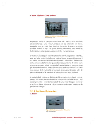 c. Mesa, Tabuleiros, Varal ou Rack
Figura 3.4 Cultivo fixo do tipo mesa
Fonte: acervo do autor
Empregado em locais com profundidade de até 3 metros, estas estruturas
são semelhantes a uma “mesa”, onde os pés são enterrados em fileiras,
espaçadas entre si a cada 2 ou 3 metros. Conjuntos de estacas ou postes
cravados no leito da água são ligados entre si por madeira, para manter as
lanternas com ostras ou as redes de mexilhões imersas na água.
O material utilizado para a construção destas estruturas pode ser o bambu,
pelo seu baixo custo. Contudo, este material possui uma durabilidade de 6
a 8 meses, o que torna necessário a sua periódica substituição. Sobre os pés
se faz uma armação horizontal (gradeado) onde as lanternas de cultivo ficam
amarradas. O ideal é utilizar canos de PVC preenchidos com concreto, como
pés e caibros de madeira, para a construção do gradeado horizontal. O custo
mais elevado deste material é compensado pela sua durabilidade, além de
permitir a realização de trabalhos de manejo em cima desta estrutura.
A produtividade no sistema do tipo varal é normalmente reduzida em rela-
ção aos flutuantes, por utilizar redes de cultivo curtas, variando de 1 a 1,5 m
de comprimento, e havendo necessidade de uma maior área para aumentar
a produção. Neste sistema de cultivo também se observa a ocorrência do
período de “castigo”.
3.1.2 Cultivos flutuantes
a. Balsas
Figura 3.5 Balsa para cultivo flutuante
Fonte: acervo do autor
Cultivo de organismos aquáticos - Malacoculturae-Tec Brasil 300
 