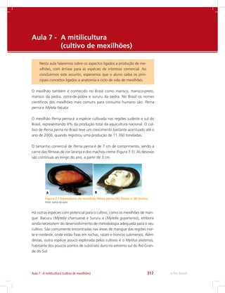 e-Tec Brasil317Aula 7 - A mitilicultura (cultivo de mexilhões)
Aula 7 - 	A mitilicultura
	 (cultivo de mexilhões)
Nesta aula falaremos sobre os aspectos ligados a produção de me-
xilhões, com ênfase para as espécies de interesse comercial. Ao
concluirmos este assunto, esperamos que o aluno saiba os prin-
cipais conceitos ligados a anatomia e ciclo de vida de mexilhões.
O mexilhão também é conhecido no Brasil como marisco, marisco-preto,
marisco da pedra, ostra-de-pobre e sururu da pedra. No Brasil os nomes
científicos dos mexilhões mais comuns para consumo humano são: Perna
perna e Mytela falcata.
O mexilhão Perna perna é a espécie cultivada nas regiões sudeste e sul do
Brasil, representando 4% da produção total da aquicultura nacional. O cul-
tivo de Perna perna no Brasil teve um crescimento bastante acentuado até o
ano de 2000, quando registrou uma produção de 11.760 toneladas.
O tamanho comercial de Perna perna é de 7 cm de comprimento, sendo a
carne das fêmeas de cor laranja e dos machos creme (Figura 7.1). As desovas
são contínuas ao longo do ano, a partir de 3 cm.
Há outras espécies com potencial para o cultivo, como os mexilhões de man-
gue: Bacucu (Mytella charruana) e Sururu e (Mytella guyanensis), embora
ainda necessitem do desenvolvimento de metodologia adequada para o seu
cultivo. São comumente encontradas nas áreas de mangue das regiões nor-
te e nordeste, onde estão fixas em rochas, raízes e troncos submersos. Além
destas, outra espécie pouco explorada pelos cultivos é o Mytilus platensis,
habitante dos poucos pontos de substrato duro no extremo sul do Rio Gran-
de do Sul.
Figura 7.1 Exemplares de mexilhão Perna perna (A) fêmea e (B) macho.
Fonte: acervo do autor
 