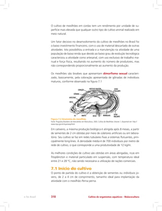 O cultivo de mexilhões em cordas tem um rendimento por unidade de su-
perfície mais elevada que qualquer outro tipo de cultivo animal realizado em
meio natural.
Um fator decisivo no desenvolvimento do cultivo de mexilhões no Brasil foi
o baixo investimento financeiro, com o uso de material descartado de outras
atividades. Isto possibilitou a entrada e a manutenção na atividade de uma
população de baixa renda que devido ao baixo grau de evolução tecnológica
caracterizou a atividade como artesanal, com uso exclusivo de trabalho ma-
nual e força física, resultando no aumento do número de produtores, mas
não correspondendo proporcionalmente ao aumento da produção.
Os mexilhões são bivalves que apresentam dimorfismo sexual caracteri-
zado, basicamente, pela coloração apresentada de gônadas de indivíduos
maturos, conforme observado na figura 7.1
Figura 7.2 Anatomia do mexilhão
Fonte: Programa Brasileiro de Intercâmbio em Maricultura. 2003. Cultivo de Mexilhões.Volume 1, disponível em: http://
www.mpa.gov.br/mpa/seap/html.
Em cativeiro, a máxima produção biológica é atingida após 8 meses, a partir
de sementes de 2 cm obtidas por meio de coletores artificiais ou em labora-
tório. Seu cultivo se faz em redes tubulares fixas a sistemas flutuantes, prin-
cipalmente long-lines. A densidade média é de 700 indivíduos por metro de
rede de cultivo, o que corresponde a uma produtividade de 12 kg/m.
As melhores condições de cultivo são obtidas em áreas abrigadas, ricas em
fitoplâncton e material particulado em suspensão, com temperatura ideal
entre 21 e 28 °C, não sendo necessária a utilização de rações comerciais.
7.1 Início do cultivo
O ponto de partida do cultivo é a obtenção de sementes ou indivíduos jo-
vens, de 2 a 4 cm de comprimento, tamanho ideal para implantação da
atividade com o mexilhão Perna perna.
Cultivo de organismos aquáticos - Malacoculturae-Tec Brasil 318
 
