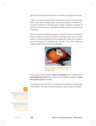 gião, mais do que propriamente pelas características biológicas da espécie.
O peso e o volume da carne estão intimamente associados ao ciclo repro-
dutivo, sendo que no estágio pleno da maturação sexual, o mexilhão é co-
mumente chamado de ‘mexilhão gordo’, devido à grande quantidade de
substâncias, principalmente, o glicogênio de reserva, que é acumulado com
os gametas.
Devido à frequente emissão de gametas, o mexilhão P. perna não apresenta
peso da porção comestível constante e nem proporcional ao seu compri-
mento, o que afeta diretamente a lucratividade dos cultivos, pois o peso de
parte comestível de um mexilhão pode varia de 35 % a 70%, segundo o
estágio de desenvolvimento de suas gônadas.
Figura 7.4 Relação da quantidade de carne
quando o mexilhão está magro ou gordo.
Fonte: acervo do autor
Esta variação é denominada de índice de condição, que é a relação entre a
quantidade de carne (partes moles cruas ou cozidas) em relação ao volu-
me ou peso total do mexilhão.
O acompanhamento do índice de condição permite determinar a época exa-
ta de colheita, indicando a fase de maior peso, melhor aparência e paladar.
• O Manual de Maricultura sobre
Cultivo de Mexilhão disponível
no link http://www.mpa.gov.
br/mpa/seap/html/PARA%20
SITE/Publicações/manual%20
mexilhao_2005(b).pdf
• O Manual de Maricultura sobre
o Cultivo de Ostras disponível
no link http://www.mpa.gov.
br/mpa/seap/html/PARA%20
SITE/Publicações/manual%20
ostras_2005(b).pdf
Cultivo de organismos aquáticos - Malacoculturae-Tec Brasil 320
 