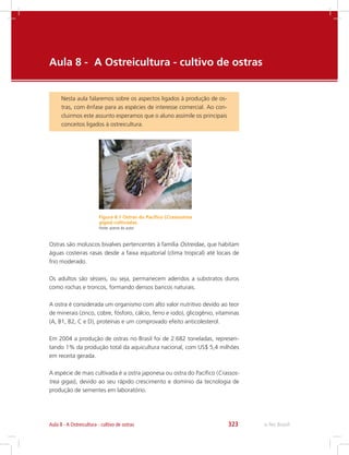 e-Tec Brasil323Aula 8 - A Ostreicultura - cultivo de ostras
Aula 8 -	 A Ostreicultura - cultivo de ostras
Nesta aula falaremos sobre os aspectos ligados à produção de os-
tras, com ênfase para as espécies de interesse comercial. Ao con-
cluirmos este assunto esperamos que o aluno assimile os principais
conceitos ligados à ostreicultura.
Figura 8.1 Ostras do Pacífico (Crassostrea
gigas) cultivadas.
Fonte: acervo do autor
Ostras são moluscos bivalves pertencentes à família Ostreidae, que habitam
águas costeiras rasas desde a faixa equatorial (clima tropical) até locais de
frio moderado.
Os adultos são sésseis, ou seja, permanecem aderidos a substratos duros
como rochas e troncos, formando densos bancos naturais.
A ostra é considerada um organismo com alto valor nutritivo devido ao teor
de minerais (zinco, cobre, fósforo, cálcio, ferro e iodo), glicogênio, vitaminas
(A, B1, B2, C e D), proteínas e um comprovado efeito anticolesterol.
Em 2004 a produção de ostras no Brasil foi de 2.682 toneladas, represen-
tando 1% da produção total da aquicultura nacional, com US$ 5,4 milhões
em receita gerada.
A espécie de mais cultivada é a ostra japonesa ou ostra do Pacífico (Crassos-
trea gigas), devido ao seu rápido crescimento e domínio da tecnologia de
produção de sementes em laboratório.
 