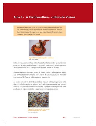 e-Tec Brasil327Aula 9 - A Pectinocultura - cultivo de Vieiras
Aula 9 -	 A Pectinocultura - cultivo de Vieiras
Nesta aula falaremos sobre os aspectos ligados a produção de Viei-
ras, com ênfase para as espécies de interesse comercial. Ao con-
cluirmos este assunto esperamos que o aluno assimile os principais
conceitos ligados a pectinicultura.
Figura 9.1 Vieira (Nodopecten nodosus)
Fonte: acervo do autor
Entre os moluscos marinhos, os bivalves da família Pectinidae apresentam-se
como um recurso de elevado valor comercial, sustentando uma importante
atividade de maricultura e de pesca em diversas partes do mundo.
A Vieira brasileira com maior potencial para o cultivo é a Nodipecten nodo-
sus, conhecida comercialmente por Coquille de San Jaques ou no mercado
internacional de Pata de Leão devido ao seu aspecto.
As partes comestíveis deste bivalve são o músculo adutor, responsável pela
abertura e fechamento das valvas e a gônada. Como as vieiras são herma-
froditas, sua gônada apresenta duas cores, a parte branca responsável pela
produção de espermatozóides e a parte vermelha pelos ovócitos.
Figura 9.2 Sementes de vieiras nas
lanternas berçário de cultivo
Fonte: acervo do autor
 