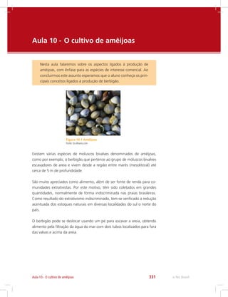 e-Tec Brasil331Aula 10 - O cultivo de amêijoas
Aula 10 - 	O cultivo de amêijoas
Nesta aula falaremos sobre os aspectos ligados à produção de
amêijoas, com ênfase para as espécies de interesse comercial. Ao
concluirmos este assunto esperamos que o aluno conheça os prin-
cipais conceitos ligados à produção de berbigão.
Figura 10.1 Amêijoas
Fonte: br.olhares.com
Existem várias espécies de moluscos bivalves denominados de amêijoas,
como por exemplo, o berbigão que pertence ao grupo de moluscos bivalves
escavadores de areia e vivem desde a região entre marés (mesolitoral) até
cerca de 5 m de profundidade.
São muito apreciados como alimento, além de ser fonte de renda para co-
munidades extrativistas. Por este motivo, têm sido coletados em grandes
quantidades, normalmente de forma indiscriminada nas praias brasileiras.
Como resultado do extrativismo indiscriminado, tem-se verificado a redução
acentuada dos estoques naturais em diversas localidades do sul o norte do
país.
O berbigão pode se deslocar usando um pé para escavar a areia, obtendo
alimento pela filtração da água do mar com dois tubos localizados para fora
das valvas e acima da areia.
 