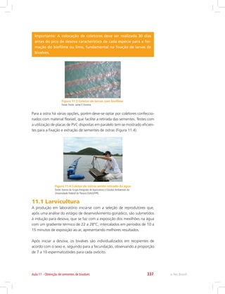 e-Tec Brasil337Aula 11 - Obtenção de sementes de bivalves
Figura 11.3 Coletor de larvas com biofilme
Fonte: Fonte: Jaime F. Ferreira
Figura 11.4 Coletor de ostras sendo retirado da água
Fonte:Acervo do Grupo Integrado de Aquicultura e Estudos Ambientais da
Universidade Federal do Paraná (GIA/UFPR).
Importante: A colocação de coletores deve ser realizada 30 dias
antes do pico de desova característico de cada espécie para a for-
mação do biofilme ou limo, fundamental na fixação de larvas de
bivalves.
Para a ostra há várias opções, porém deve-se optar por coletores confeccio-
nados com material flexível, que facilite a retirada das sementes. Testes com
a utilização de placas de PVC dispostas em paralelo tem se mostrado eficien-
tes para a fixação e extração de sementes de ostras (Figura 11.4).
11.1 Larvicultura
A produção em laboratório inicia-se com a seleção de reprodutores que,
após uma análise do estágio de desenvolvimento gonádico, são submetidos
à indução para desova, que se faz com a exposição dos mexilhões na água
com um gradiente térmico de 22 a 28°C, intercalados em períodos de 10 a
15 minutos de exposição ao ar, apresentando melhores resultados.
Após iniciar a desova, os bivalves são individualizados em recipientes de
acordo com o sexo e, seguindo para a fecundação, observando a proporção
de 7 a 10 espermatozóides para cada ovócito.
 