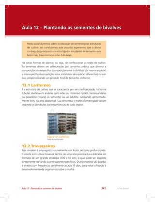 e-Tec Brasil341
Aula 12 - 	Plantando as sementes de bivalves
Nesta aula falaremos sobre a colocação de sementes nas estruturas
de cultivo. Ao concluirmos este assunto esperamos que o aluno
conheça os principais conceitos ligados ao plantio de sementes em
lanternas, travesseiros e redes tubulares.
Aula 12 - Plantando as sementes de bivalves
Há várias formas de plantar, ou seja, de confeccionar as redes de cultivo.
As sementes devem ser selecionadas por tamanho, prática que diminui a
competição intraespecífica (competição entre indivíduos da mesma espécie)
e interespecífica (competição entre indivíduos de espécies diferentes) no cul-
tivo, proporcionando um produto final de tamanho uniforme.
12.1 Lanternas
É a estrutura de cultivo que se caracteriza por ser confeccionado na forma
tubular, dividida em andares com redes ou materiais rígidos. Nestes andares
ou prateleiras ficarão as sementes ou os adultos, ocupando aproximada-
mente 50% da área disponível. Sua dimensão e material empregado variam
segundo as condições socioeconômicas de cada região.
Figura 12.1 Lanternas
Fonte:Acervo do autor
12.2 Travesseiros
Este modelo é empregado normalmente em locais de baixa profundidade.
Consiste em cultivar bivalves dentro de uma tela plástica dura dobrada em
formato de um grande envelope (100 x 50 cm), o qual pode ser disposto
diretamente no fundo ou em suporte específicos. Os travesseiros são batidos
e virados com frequência, geralmente a cada 15 dias, para evitar a fixação e
desenvolvimento de organismos sobre a malha.
 
