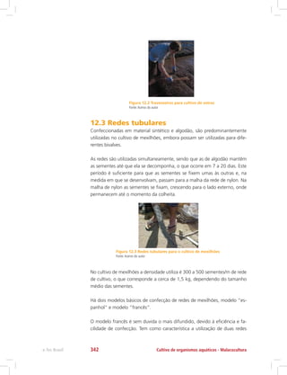 Figura 12.2 Travesseiros para cultivo de ostras
Fonte:Acervo do autor
Figura 12.3 Redes tubulares para o cultivo de mexilhões
Fonte:Acervo do autor
12.3 Redes tubulares
Confeccionadas em material sintético e algodão, são predominantemente
utilizadas no cultivo de mexilhões, embora possam ser utilizadas para dife-
rentes bivalves.
As redes são utilizadas simultaneamente, sendo que as de algodão mantêm
as sementes até que ela se decomponha, o que ocorre em 7 a 20 dias. Este
período é suficiente para que as sementes se fixem umas às outras e, na
medida em que se desenvolvam, passam para a malha da rede de nylon. Na
malha de nylon as sementes se fixam, crescendo para o lado externo, onde
permanecem até o momento da colheita.
No cultivo de mexilhões a densidade utiliza é 300 a 500 sementes/m de rede
de cultivo, o que corresponde a cerca de 1,5 kg, dependendo do tamanho
médio das sementes.
Há dois modelos básicos de confecção de redes de mexilhões, modelo “es-
panhol” e modelo “francês”.
O modelo francês é sem duvida o mais difundido, devido à eficiência e fa-
cilidade de confecção. Tem como característica a utilização de duas redes
Cultivo de organismos aquáticos - Malacoculturae-Tec Brasil 342
 