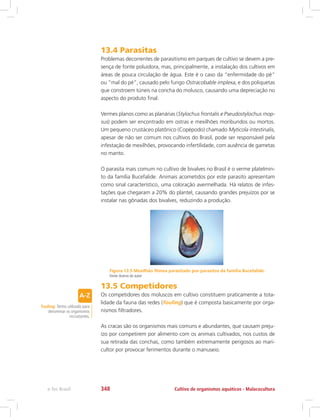 13.4 Parasitas
Problemas decorrentes de parasitismo em parques de cultivo se devem a pre-
sença de fonte poluidora, mas, principalmente, a instalação dos cultivos em
áreas de pouca circulação de água. Este é o caso da “enfermidade do pé”
ou “mal do pé”, causado pelo fungo Ostracobable implexa, e dos poliquetas
que constroem túneis na concha do molusco, causando uma depreciação no
aspecto do produto final.
Vermes planos como as planárias (Stylochus frontalis e Pseudostylochus mop-
sus) podem ser encontrado em ostras e mexilhões moribundos ou mortos.
Um pequeno crustáceo platônico (Copépodo) chamado Myticola intestinalis,
apesar de não ser comum nos cultivos do Brasil, pode ser responsável pela
infestação de mexilhões, provocando infertilidade, com ausência de gametas
no manto.
O parasita mais comum no cultivo de bivalves no Brasil é o verme platelmin-
to da família Bucefalide. Animais acometidos por este parasito apresentam
como sinal característico, uma coloração avermelhada. Há relatos de infes-
tações que chegaram a 20% do plantel, causando grandes prejuízos por se
instalar nas gônadas dos bivalves, reduzindo a produção.
Figura 13.5 Mexilhão fêmea parasitado por parasitos da família Bucefalide.
Fonte:Acervo do autor
13.5 Competidores
Os competidores dos moluscos em cultivo constituem praticamente a tota-
lidade da fauna das redes (fouling) que é composta basicamente por orga-
nismos filtradores.
As cracas são os organismos mais comuns e abundantes, que causam preju-
ízo por competirem por alimento com os animais cultivados, nos custos de
sua retirada das conchas, como também extremamente perigosos ao mari-
cultor por provocar ferimentos durante o manuseio.
Fouling: Termo utilizado para
denominar os organismos
incrustantes.
Cultivo de organismos aquáticos - Malacoculturae-Tec Brasil 348
 