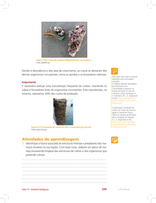 e-Tec Brasil349Aula 13 - Variáveis biológicas
Figura 13.7 Exemplo de material sem a manutenção devida
Fonte: acervo do autor
Figura 13.6 Craca da espécie Megabalanus coccopoma.
Fonte: jaxshells.org
Devido à abundância e alta taxa de crescimento, as cracas se destacam dos
demais organismos incrustantes, como as ascídias e os briozoários coloniais.
Importante
É necessário efetuar uma manutenção frequente do cultivo, mantendo os
cabos e flutuadores livres de organismos incrustantes. Esta manutenção, no
entanto, representa 20% dos custos de produção.
Para saber mais sobre o assunto
abordado hoje você poderá
consultar:
O relatório Difusão Tecnológica
da Ostreicultura em
Comunidades Litorâneas no
Estado do Ceará: O Caso de
Camocim, Ceará, de Araújo, R.
C. e Moreira, M. L. S., disponível
no link: http://www.neema.ufc.
br/BN_FUNDECI_Ostreicultura_
Relatorio.pdf
A dissertação “Avaliação do
sistema de cultivo de ostra do
gênero Crassostrea (Sacco,
1897) no estuário do Rio Vaza-
Barris (Sergipe), de Siqueira,
K. L. F., disponível no link:
http://www.unit.br/mestrado/
saudeambiente/D_defendidas/
KarynneLemos.pdf
Atividades de aprendizagem
1.	 Identifique a fauna associada às estruturas imersas e predadores dos mo-
luscos bivalves na sua região. Com base nisso, elabore um plano de ma-
nejo envolvendo limpeza das estruturas de cultivo e dos organismos que
pretende cultivar.
 