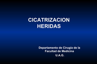 CICATRIZACION HERIDAS Departamento de Cirugía de la Facultad de Medicina U.A.G. 