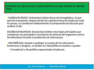 CONOCER LAS CÉLULAS QUE SE ENCUENTRAN EN UNA UNIDAD DE SANGRE
TOTAL
•GLÓBULOS ROJOS: (eritrocitos) células llenas de hemoglobina, lo que
permite transportar oxígeno desde los capilares hasta los tejidos de todo
el cuerpo, se consideran habitualmente el componente de elección para
restituir la Hb.
•GLÓBULOS BLANCOS: (leucocitos) Existen cinco tipos principales que
constituyen los principales mecanismos de defensa del organismo contra
las infecciones incluida la producción de anticuerpos.
•NEUTRÓFILOS: Ayudan a proteger el cuerpo de las infecciones
bacterianas y fúngicas, se dividen en: Neutrófilos en banda o cayados
( inmaduros) y Neutrófilos segmentados (maduros).
 