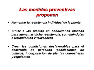 Las medidas preventivas proponen <ul><li>Aumentar la resistencia individual de la planta </li></ul><ul><li>Situar a las pl...
