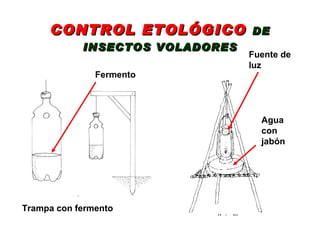 CONTROL ETOLÓGICO   DE INSECTOS VOLADORES Fermento Fuente de luz Trampa con fermento Agua con jabón 