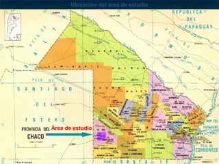 Ubicación del área de estudio
Área de estudio
 